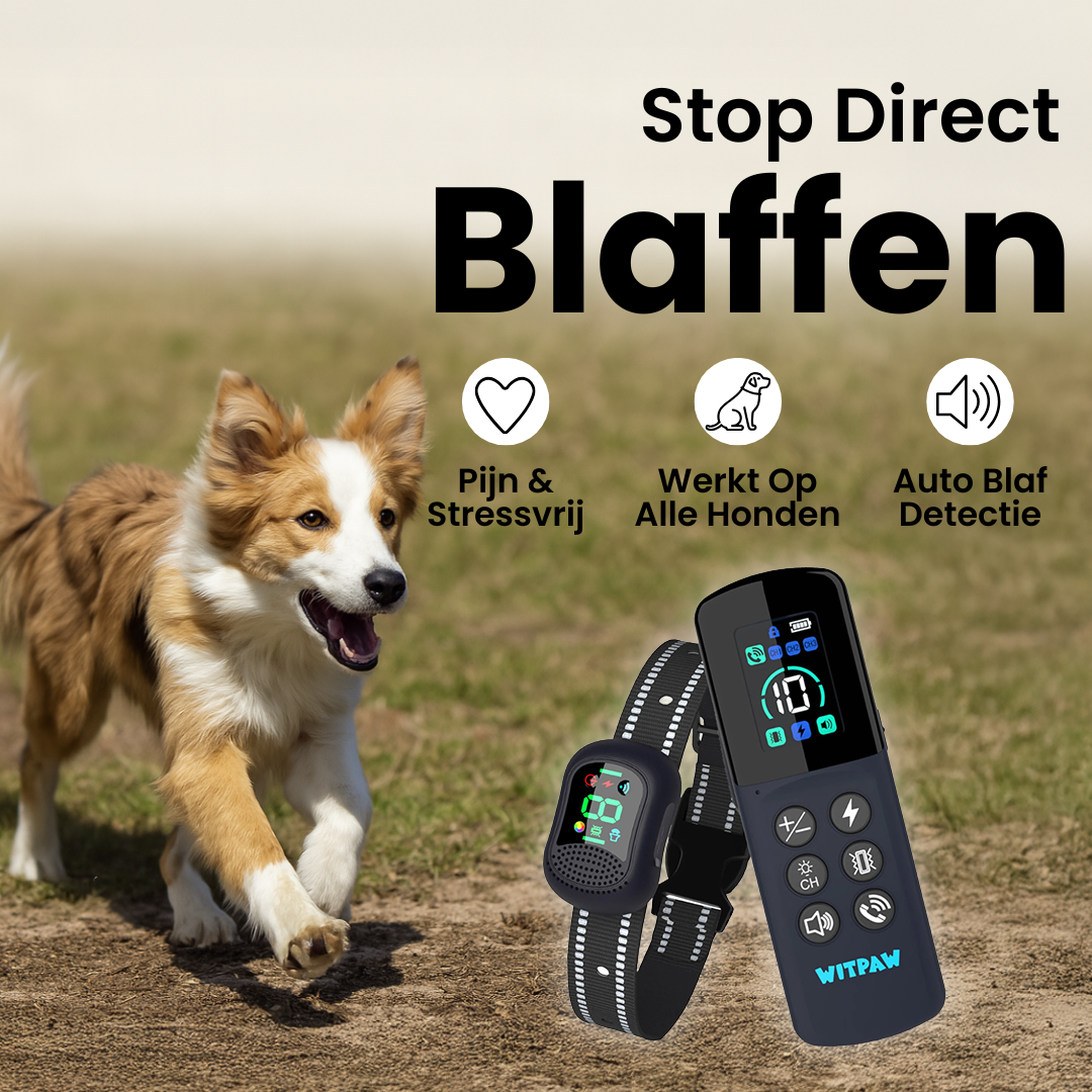 HondenTraining Pro | Waterdichte Oplaadbare Trainingshalsband voor Elke Hond