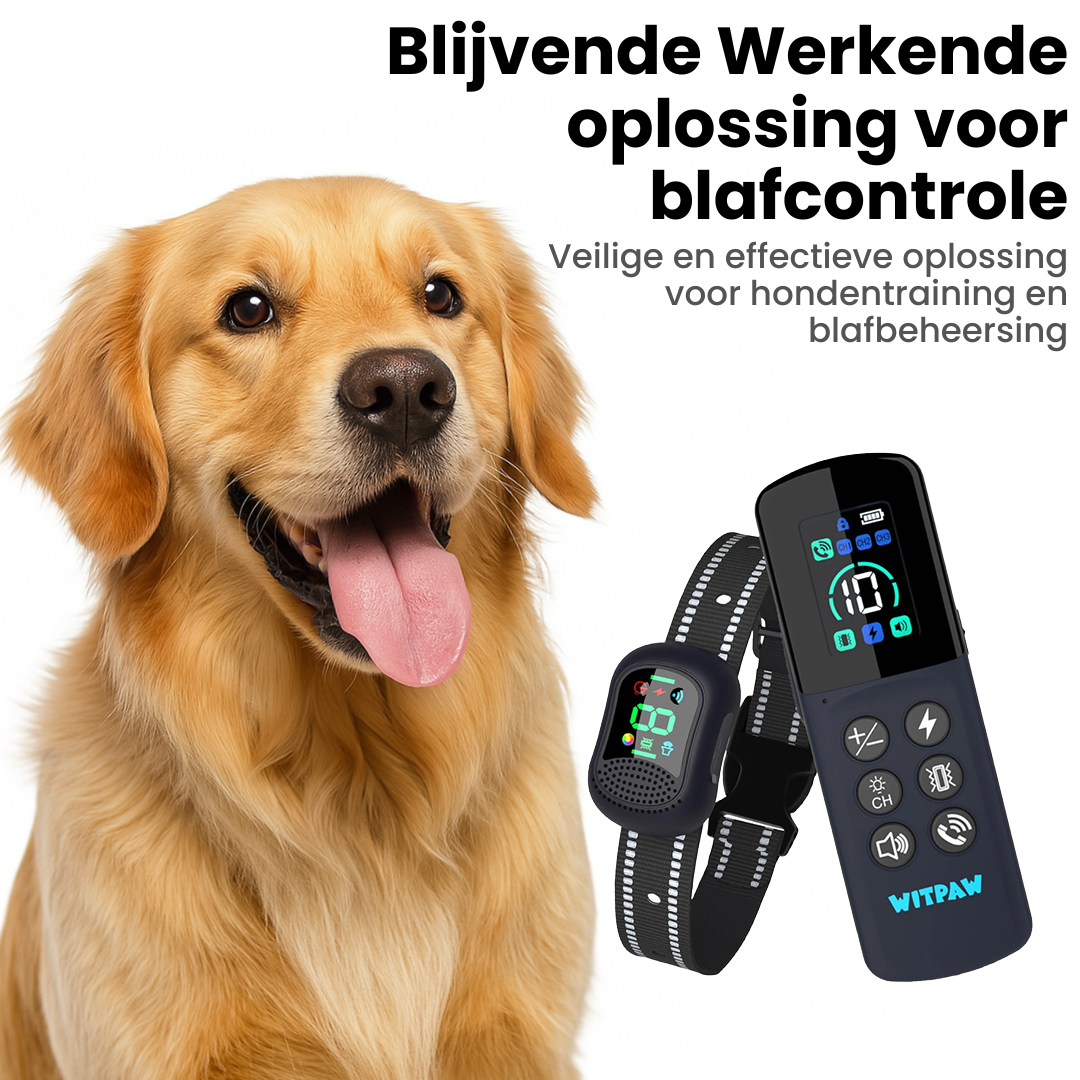 HondenTraining Pro | Waterdichte Oplaadbare Trainingshalsband voor Elke Hond