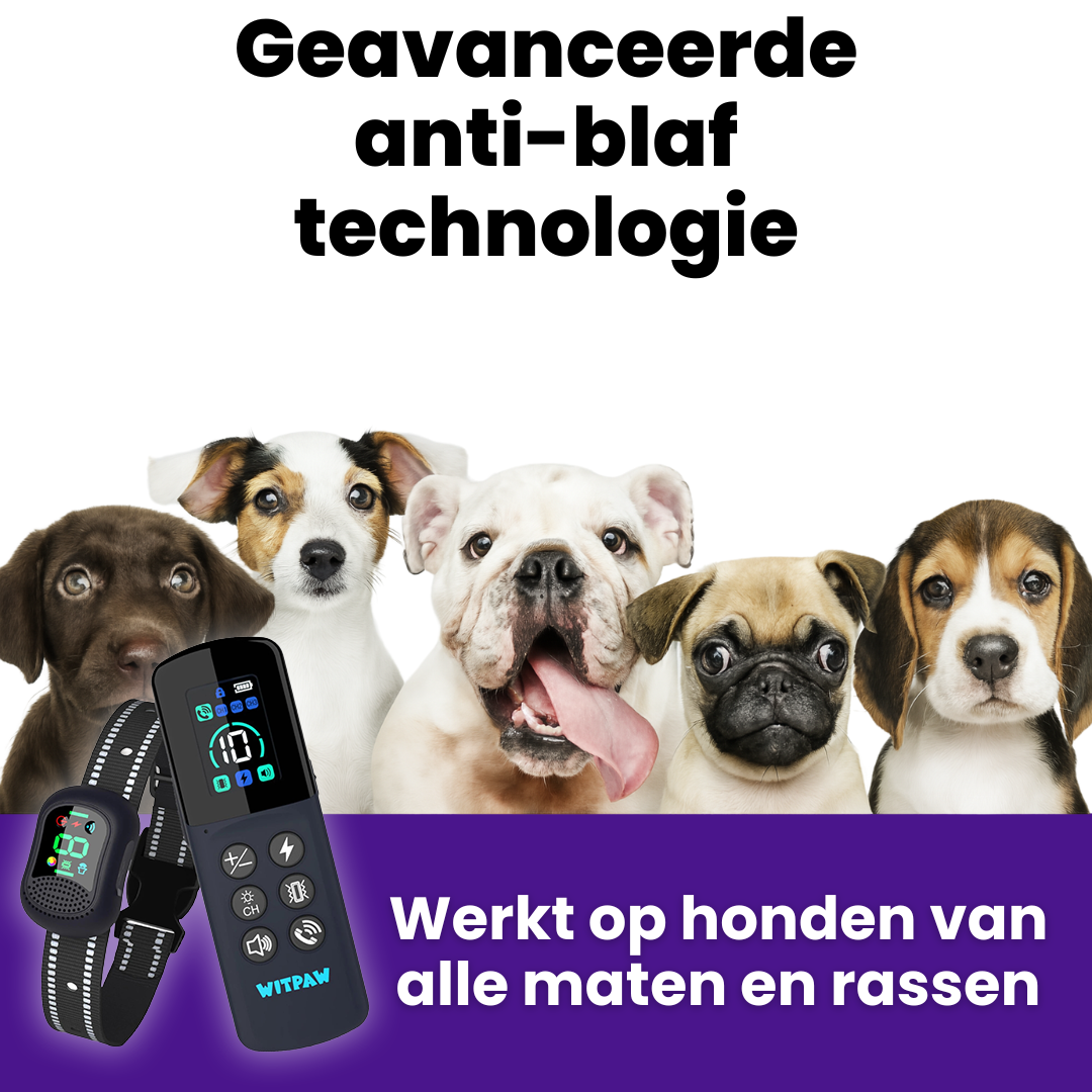HondenTraining Pro | Waterdichte Oplaadbare Trainingshalsband voor Elke Hond