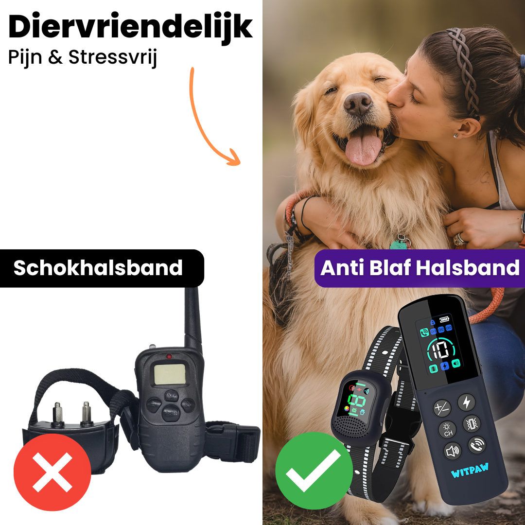 HondenTraining Pro | Waterdichte Oplaadbare Trainingshalsband voor Elke Hond