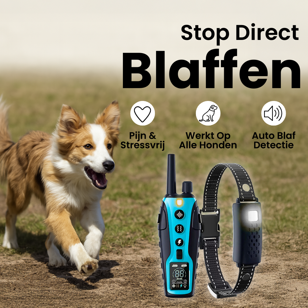 TrendyHond Trainer | Elektrische Hondenriem met Afstandsbediening en Trillingsschok voor Gedragstraining