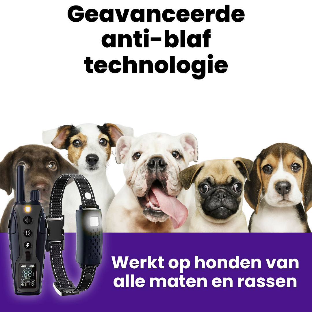 TrendyHond Trainer | Elektrische Hondenriem met Afstandsbediening en Trillingsschok voor Gedragstraining