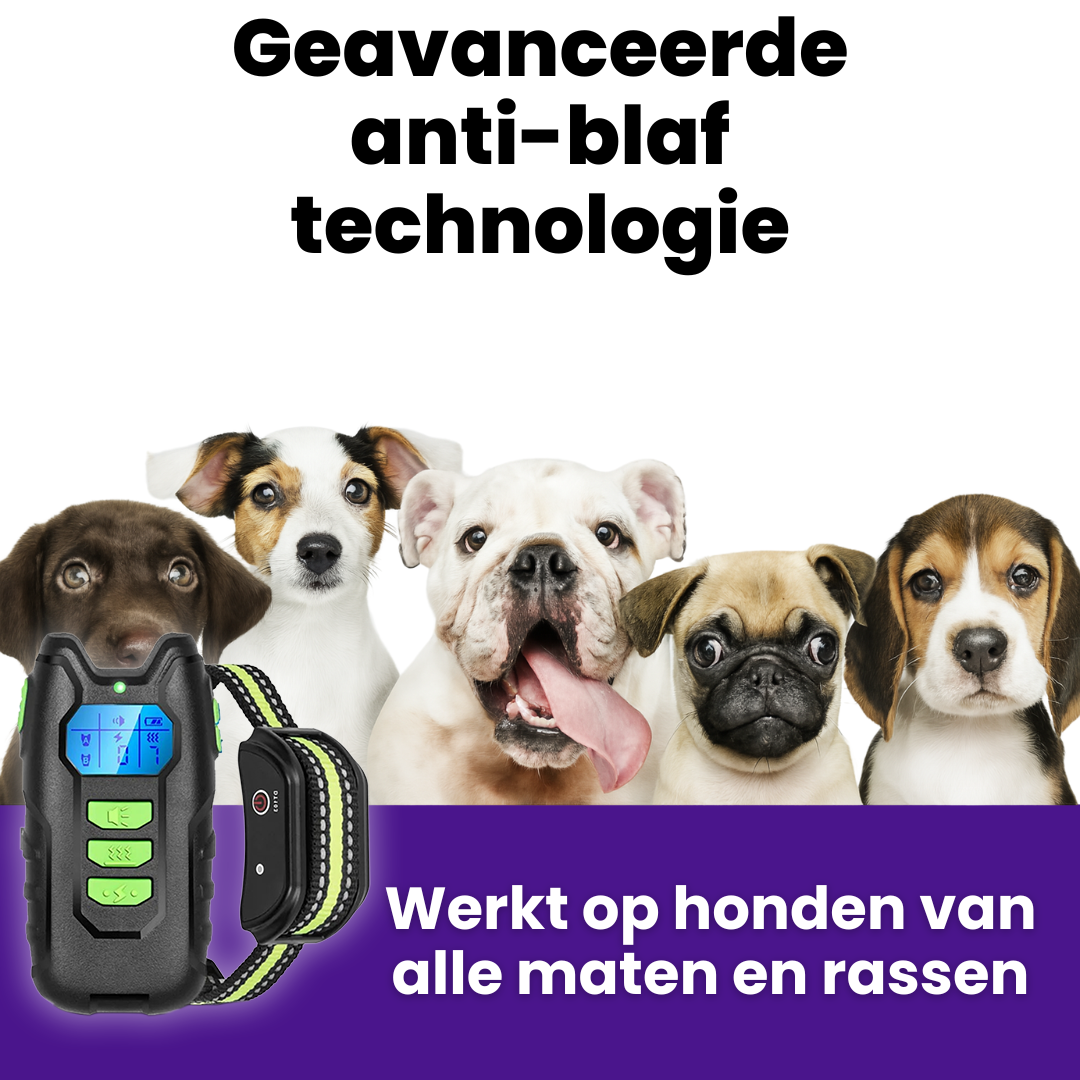 HondenTrainer Pro | Oplaadbare Elektrische Halsband voor Hondentraining