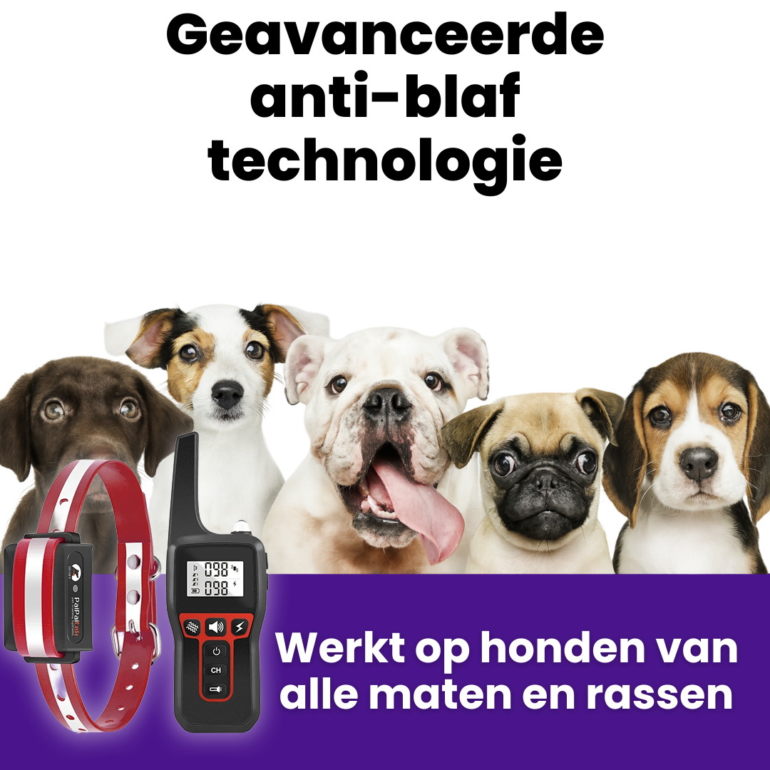HondenTrainer Pro | Draadloze Trainingshalsband voor Hondengedrag