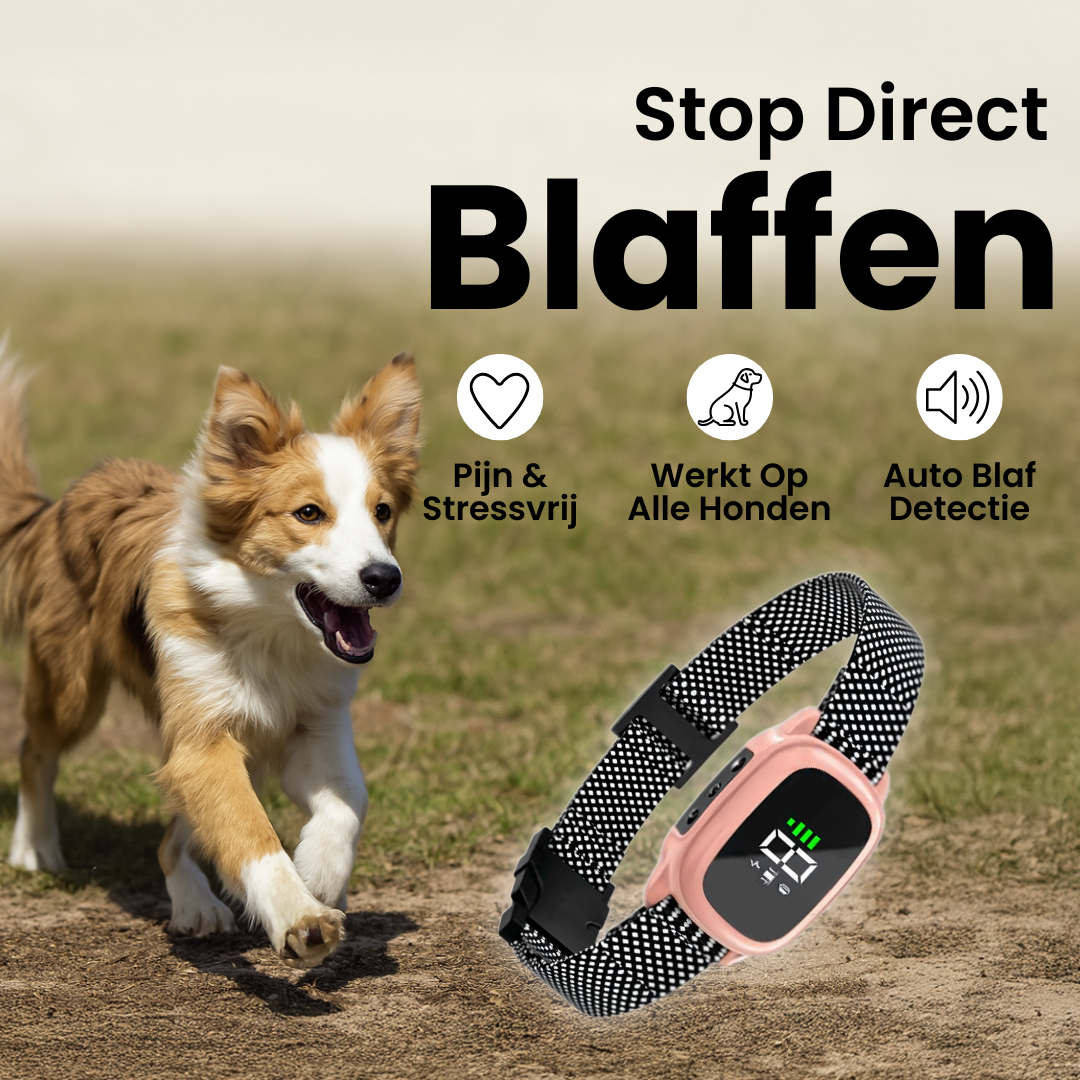 FluisterBand | Automatische Antiblafband met Oplaadbare Stroomstootfunctie