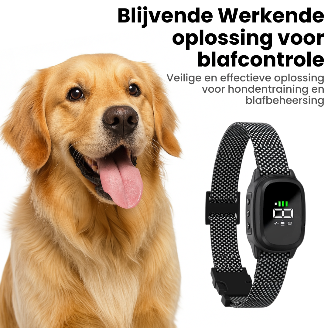 FluisterBand | Automatische Antiblafband met Oplaadbare Stroomstootfunctie
