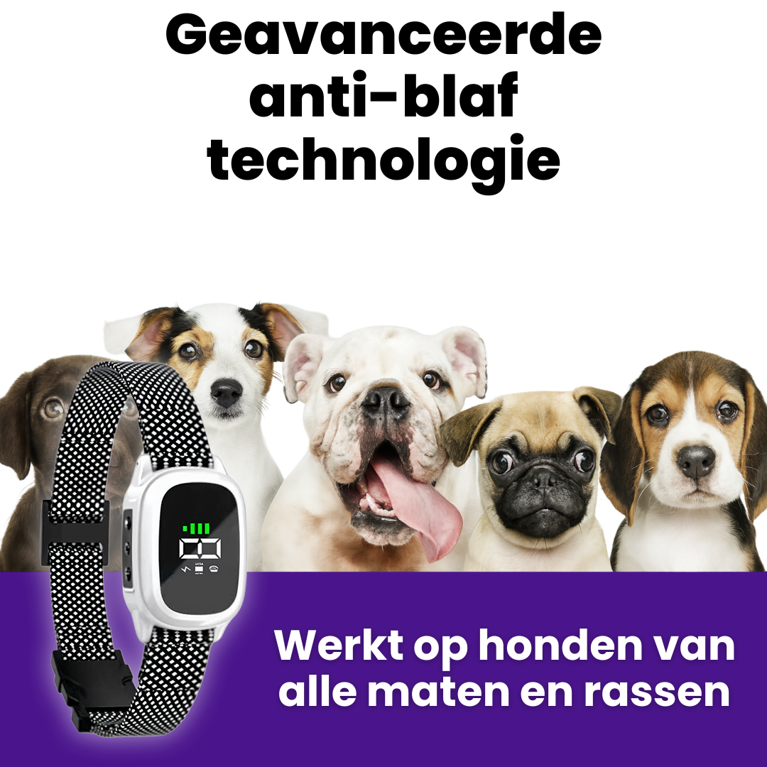 FluisterBand | Automatische Antiblafband met Oplaadbare Stroomstootfunctie