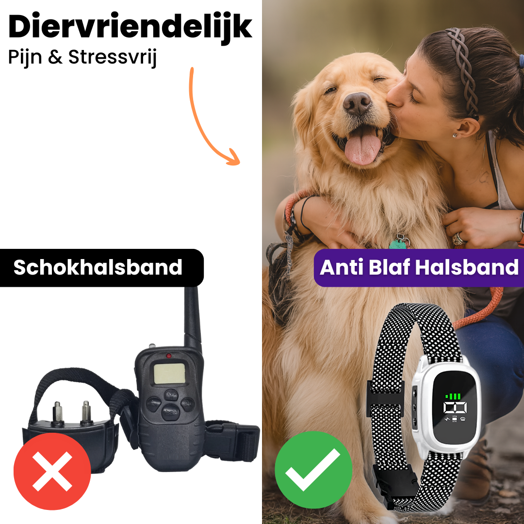 FluisterBand | Automatische Antiblafband met Oplaadbare Stroomstootfunctie