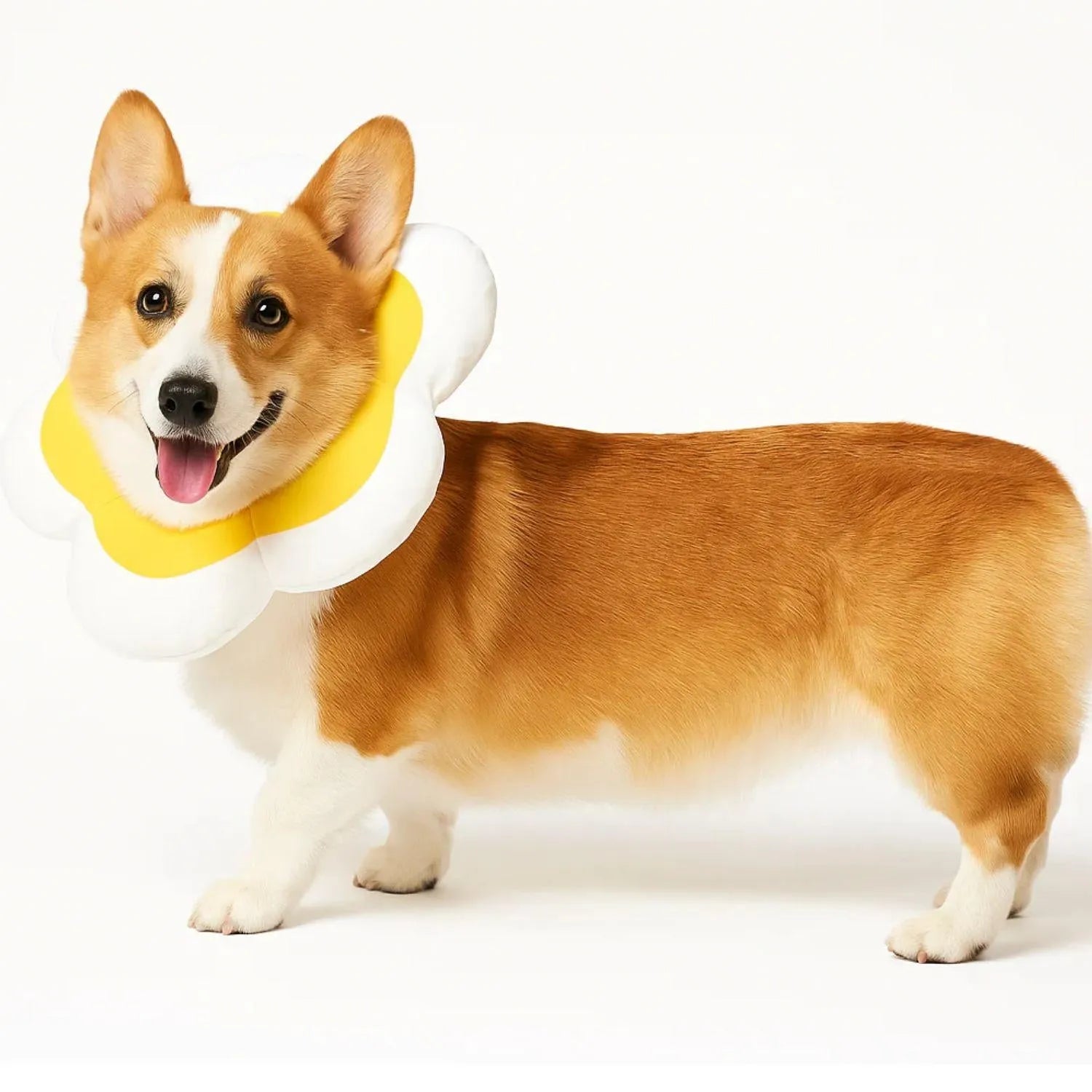 BloomGuard Kraag | Comfortabele herstelkraag voor huisdieren in bloemvorm