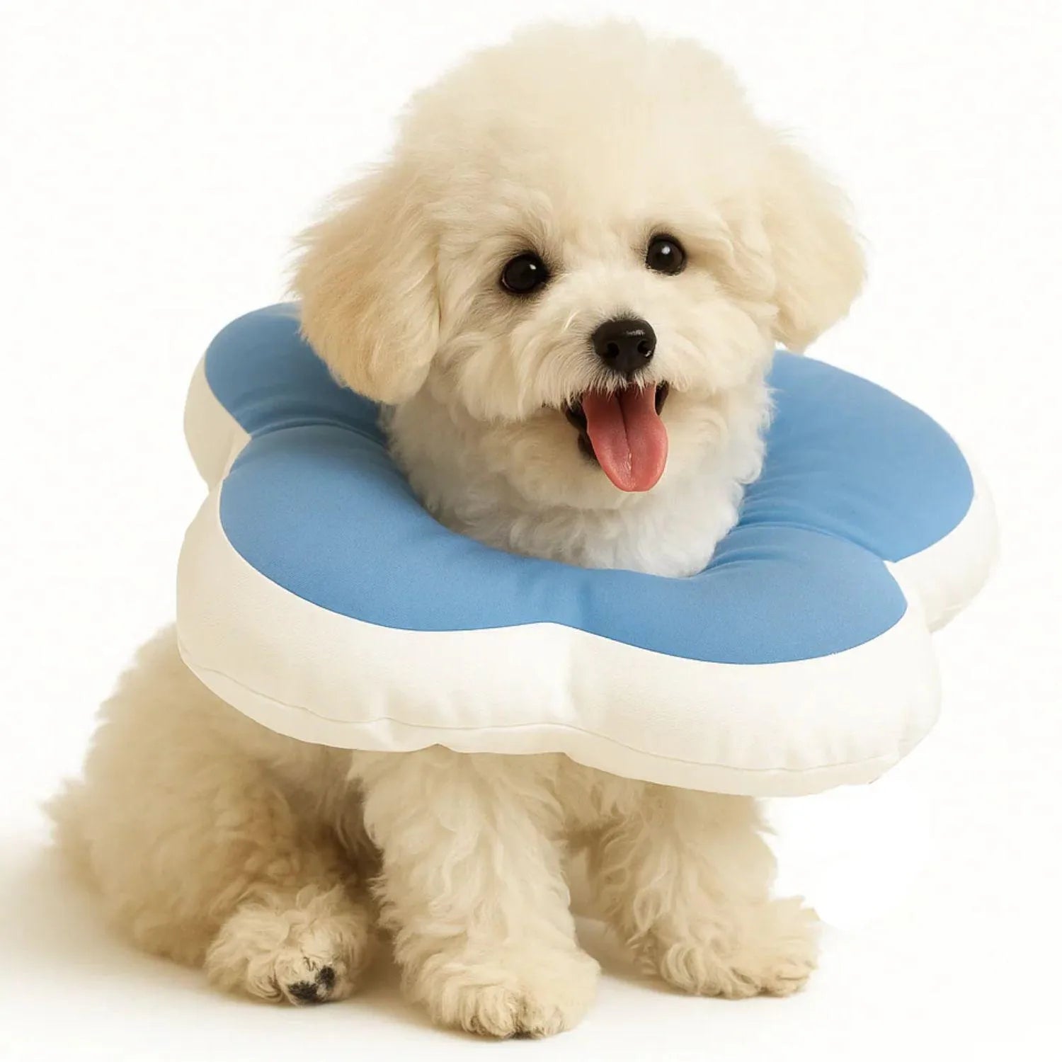 BloomGuard Kraag | Comfortabele herstelkraag voor huisdieren in bloemvorm