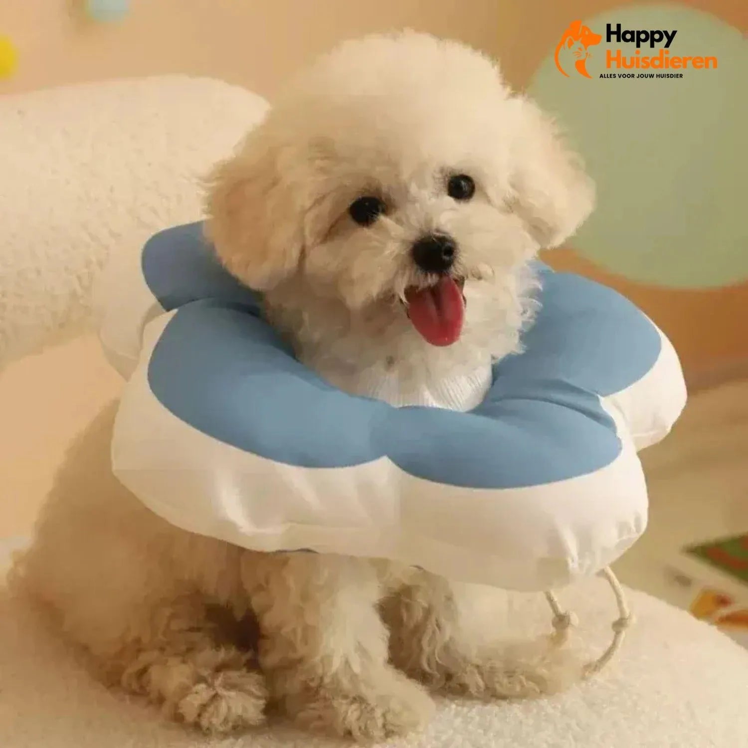 BloomGuard Kraag | Comfortabele herstelkraag voor huisdieren in bloemvorm