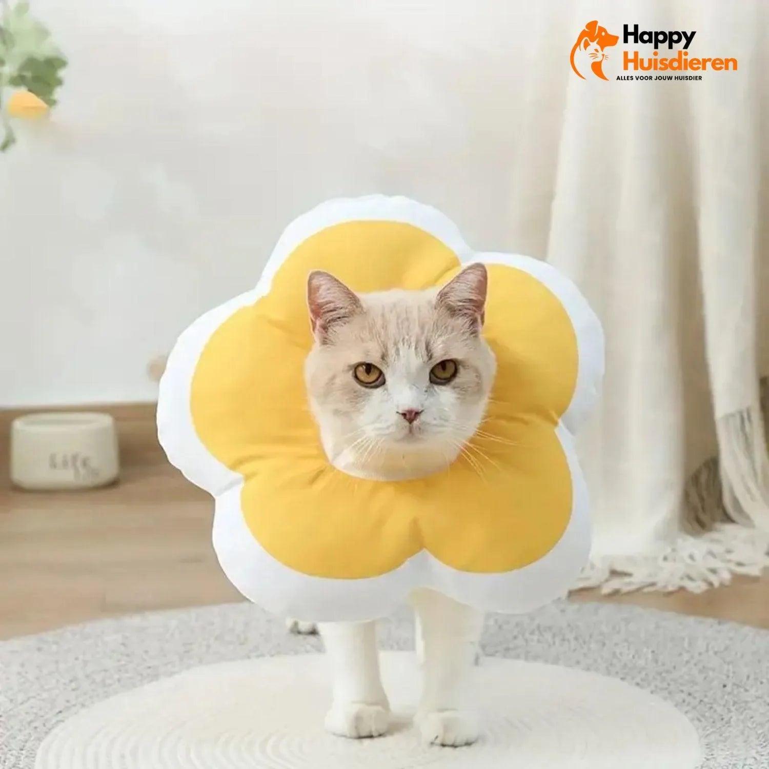 BloomGuard Kraag | Comfortabele herstelkraag voor huisdieren in bloemvorm