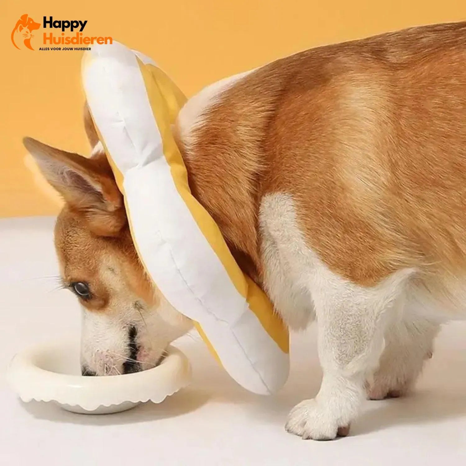 BloomGuard Kraag | Comfortabele herstelkraag voor huisdieren in bloemvorm