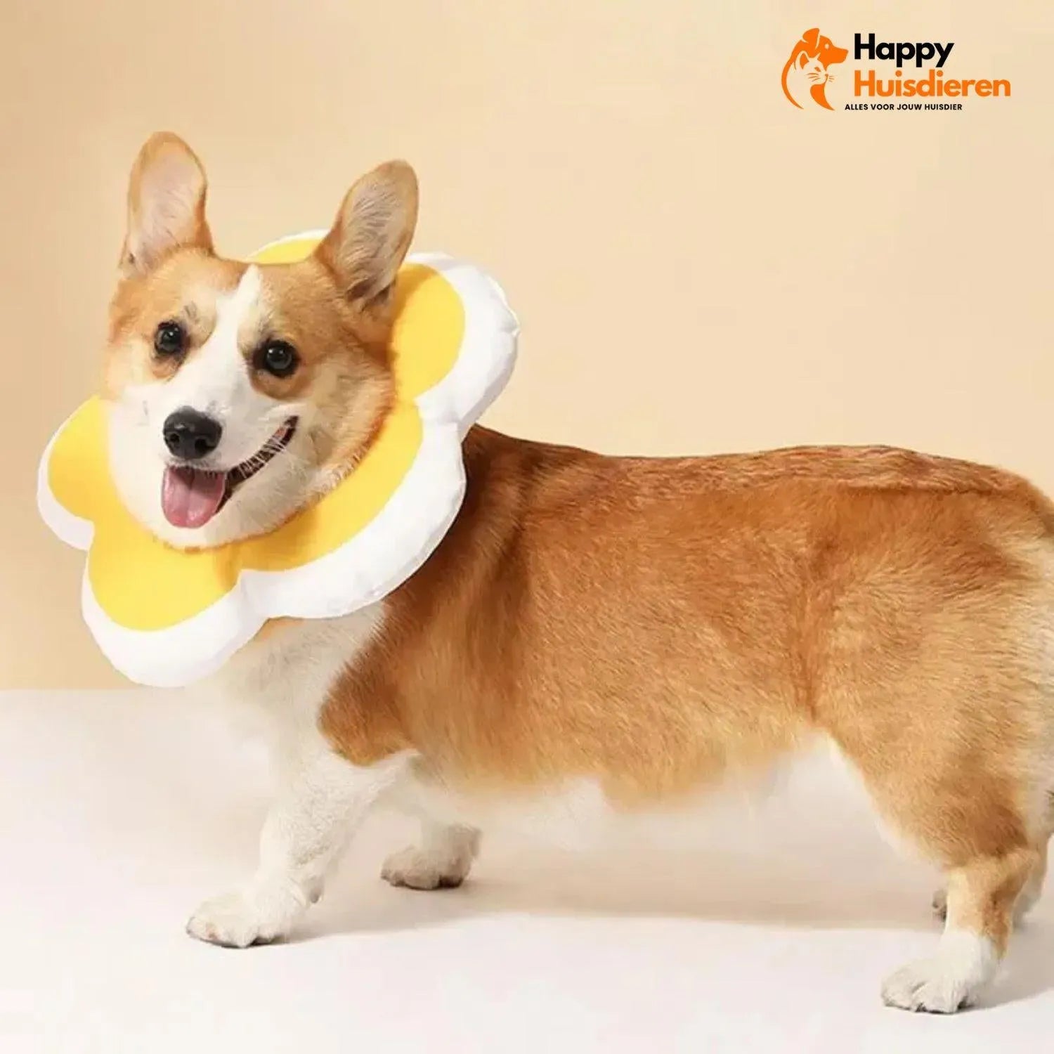 BloomGuard Kraag | Comfortabele herstelkraag voor huisdieren in bloemvorm