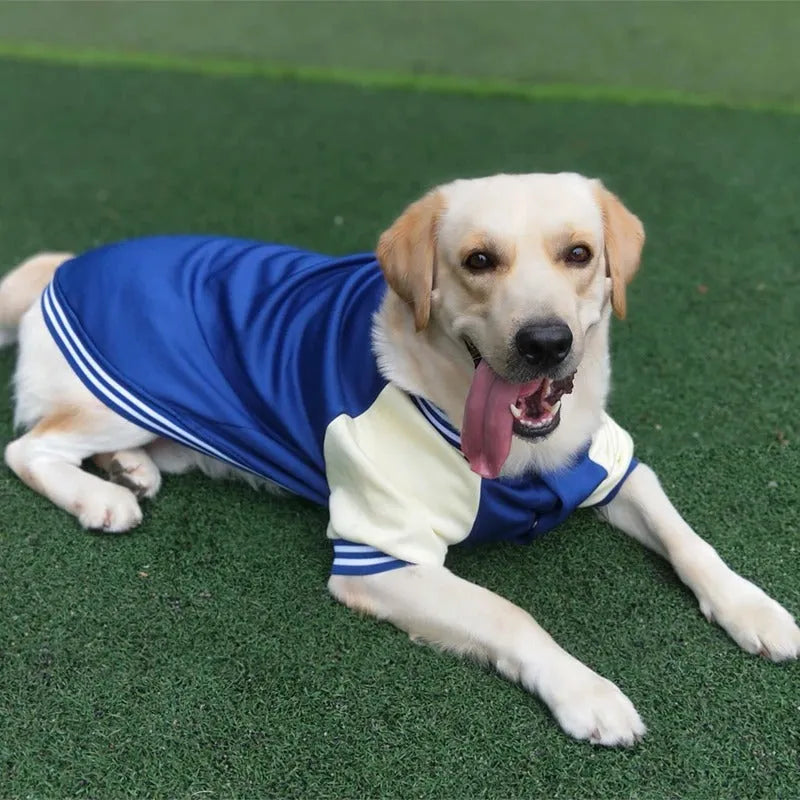 Bowie | Hondenjas Met Sportieve Look