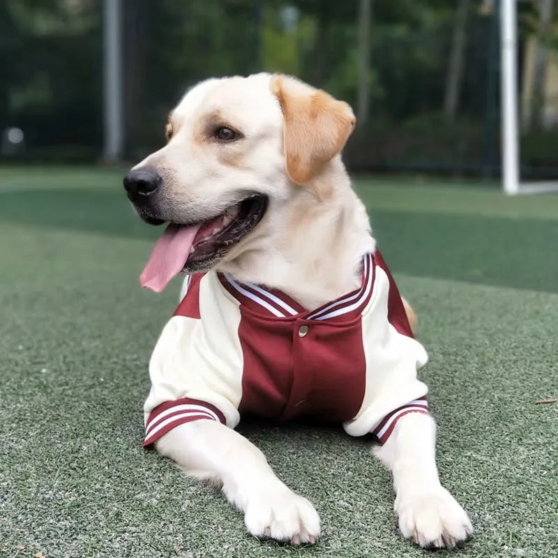 Bowie | Hondenjas Met Sportieve Look