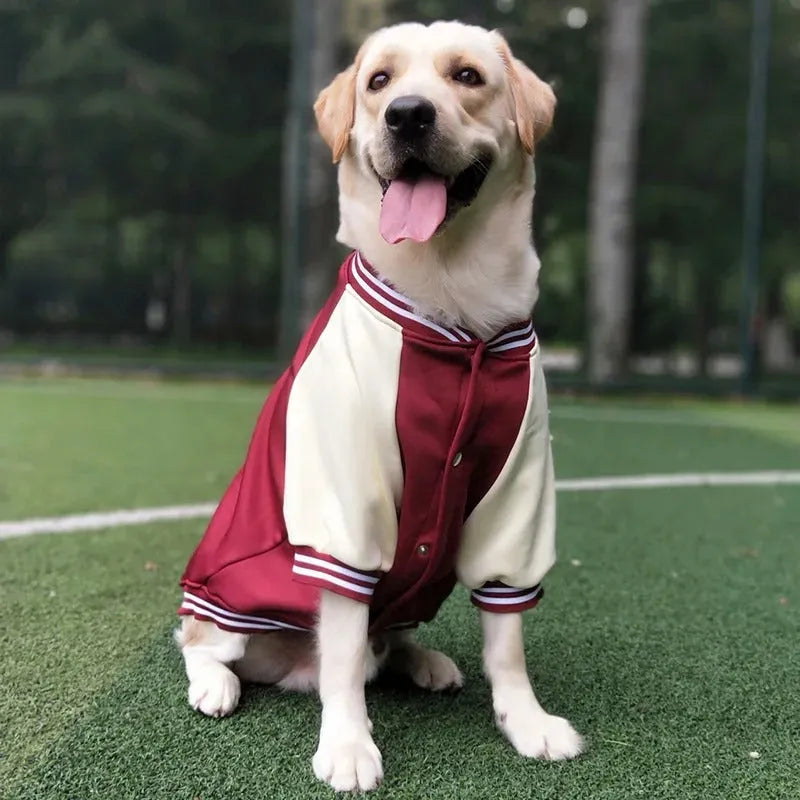 Bowie | Hondenjas Met Sportieve Look