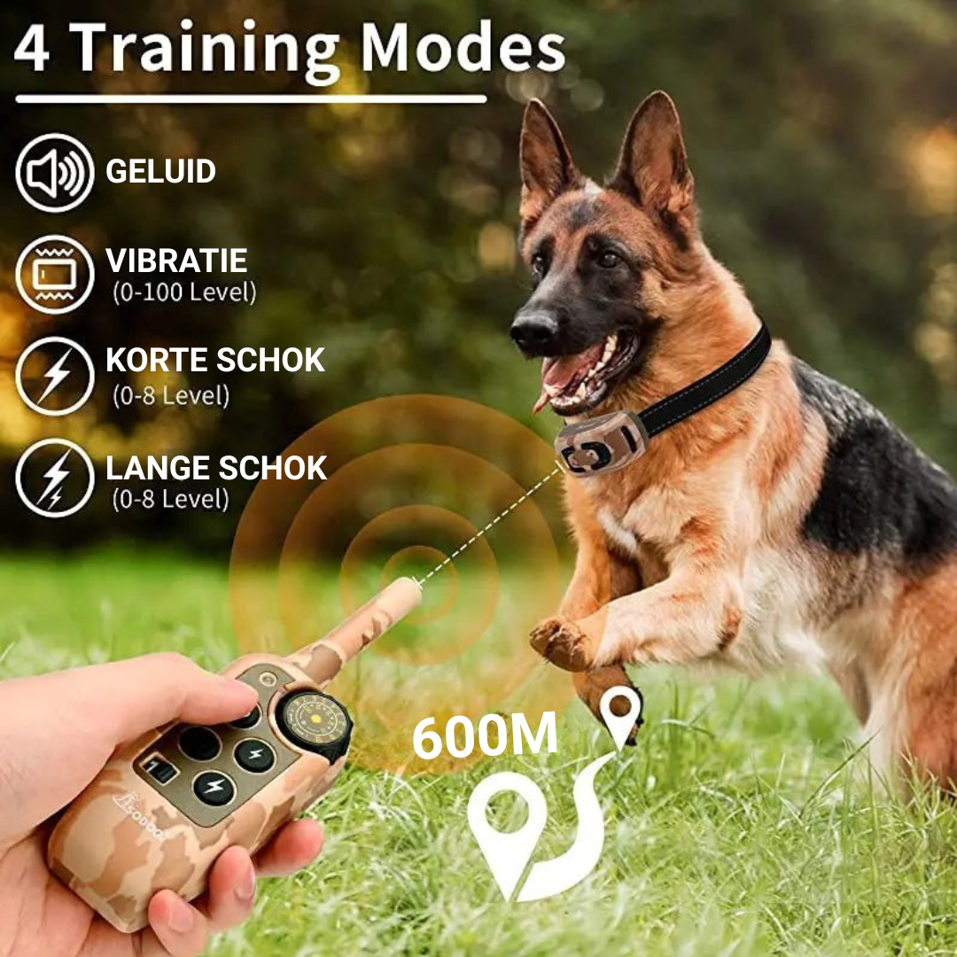 Perfecte Trainingshalsband | Optimaal Hondentraining op Afstand