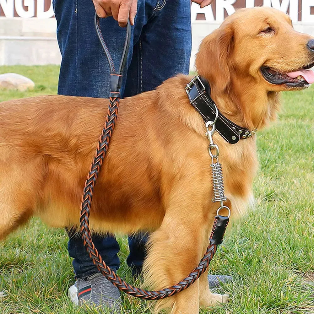 Buddy | Leren Hondenriem voor Comfortabele Wandeling