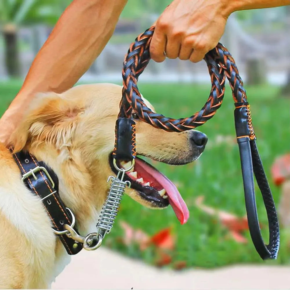 Buddy | Leren Hondenriem voor Comfortabele Wandeling
