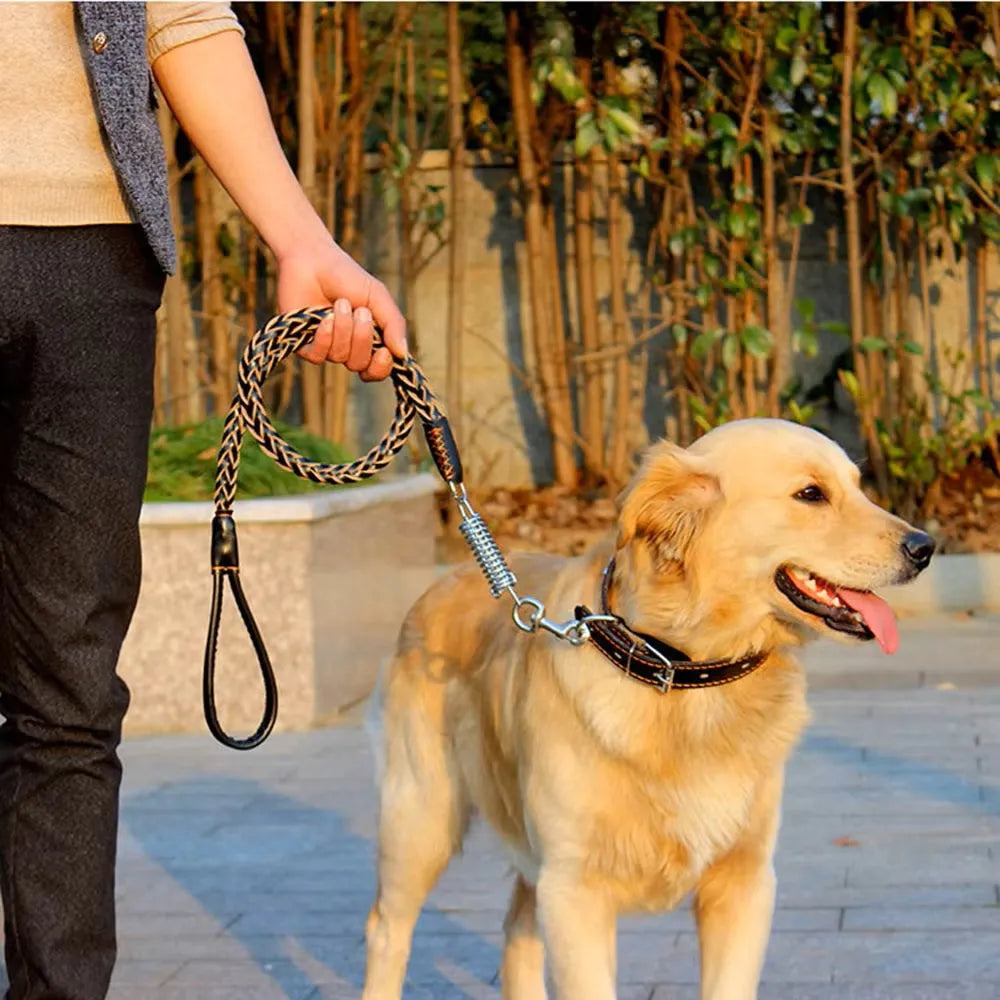 Buddy | Leren Hondenriem voor Comfortabele Wandeling
