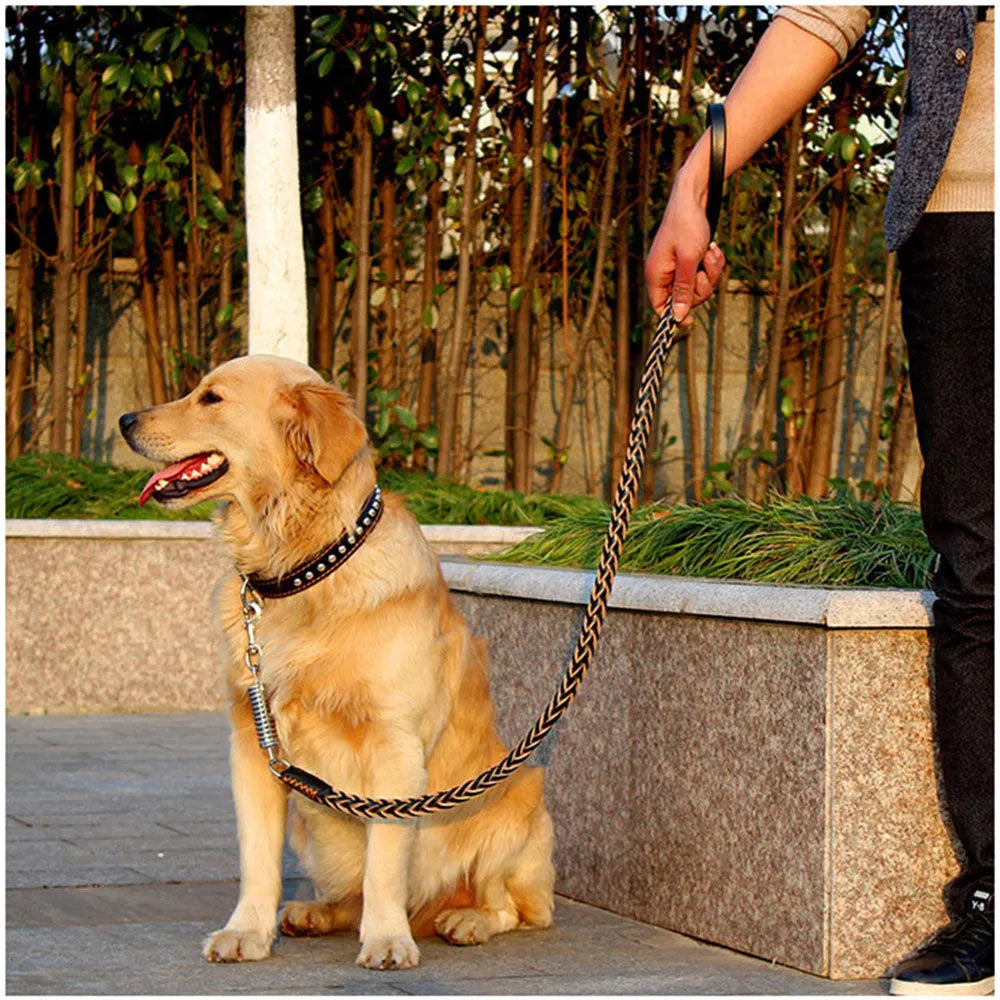 Buddy | Leren Hondenriem voor Comfortabele Wandeling