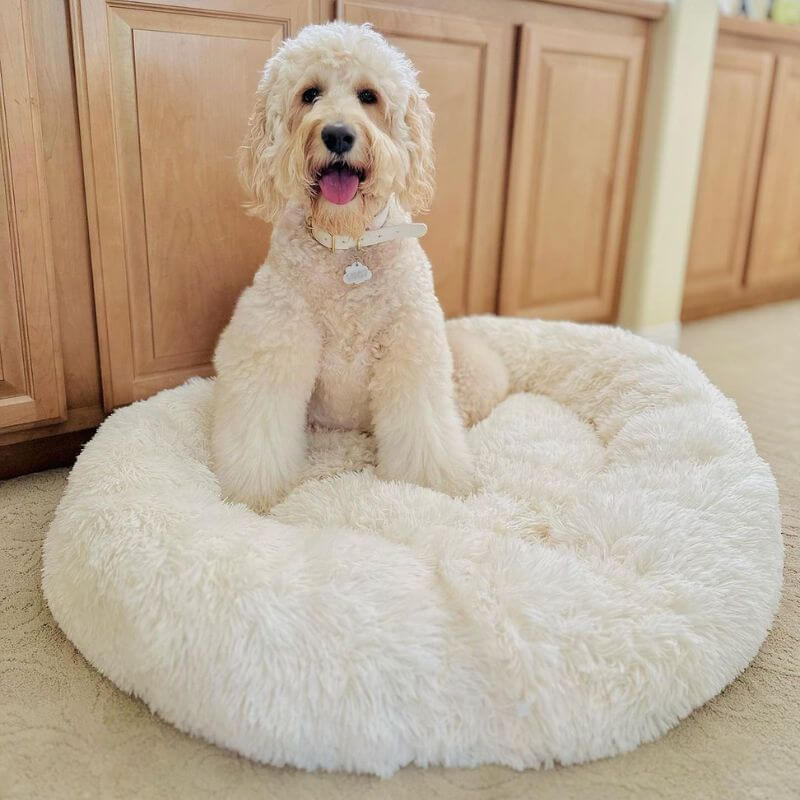 CalmDream Nest | Anti angst hondenmand donut warm & wasbaar