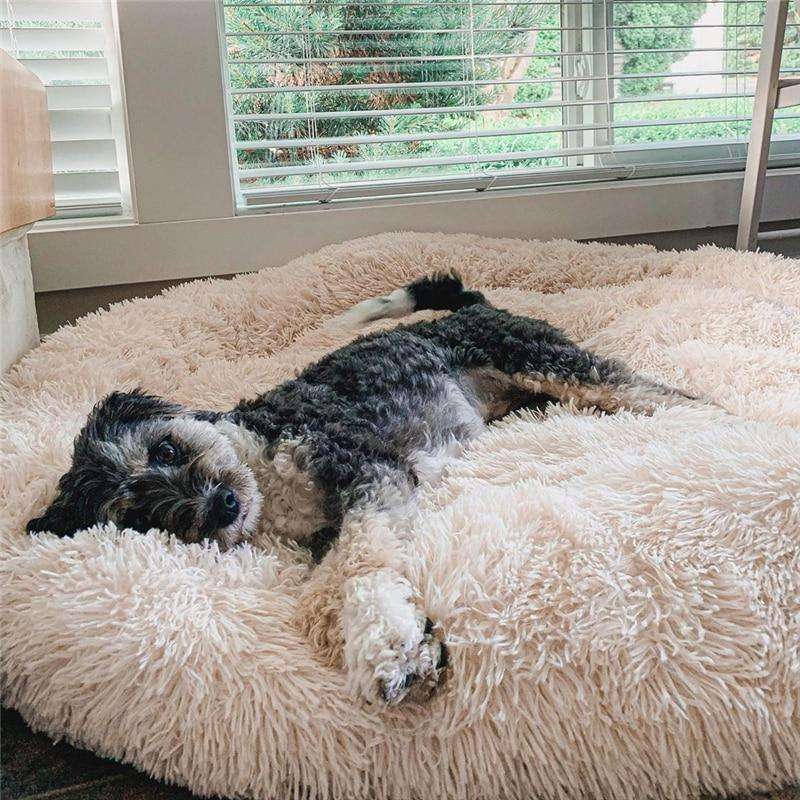 CalmDream Nest | Anti angst hondenmand donut warm & wasbaar