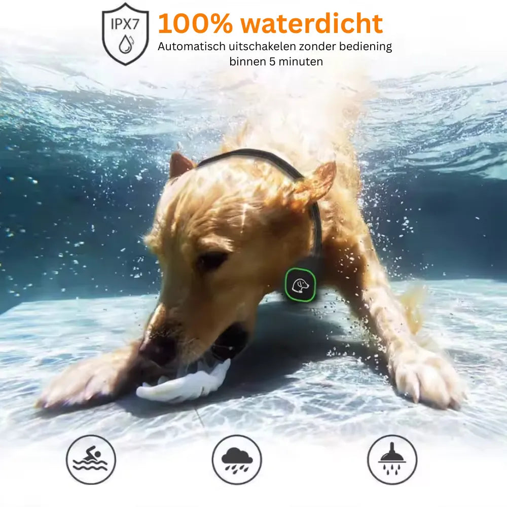 CalmVibe | trainingshalsband met trilfunctie, afstandsbediening, oplaadbaar & stil