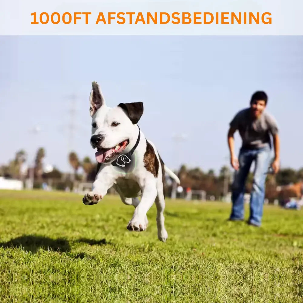 CalmVibe | trainingshalsband met trilfunctie, afstandsbediening, oplaadbaar & stil