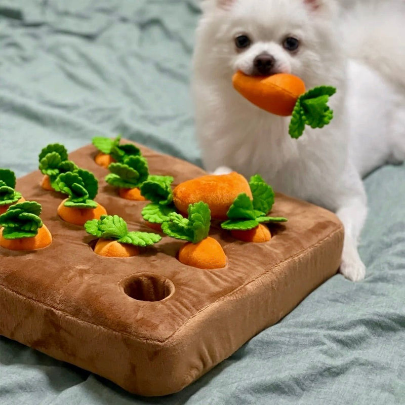 CarrotQuest Garden | Snuffelmat hond interactieve wortel puzzel