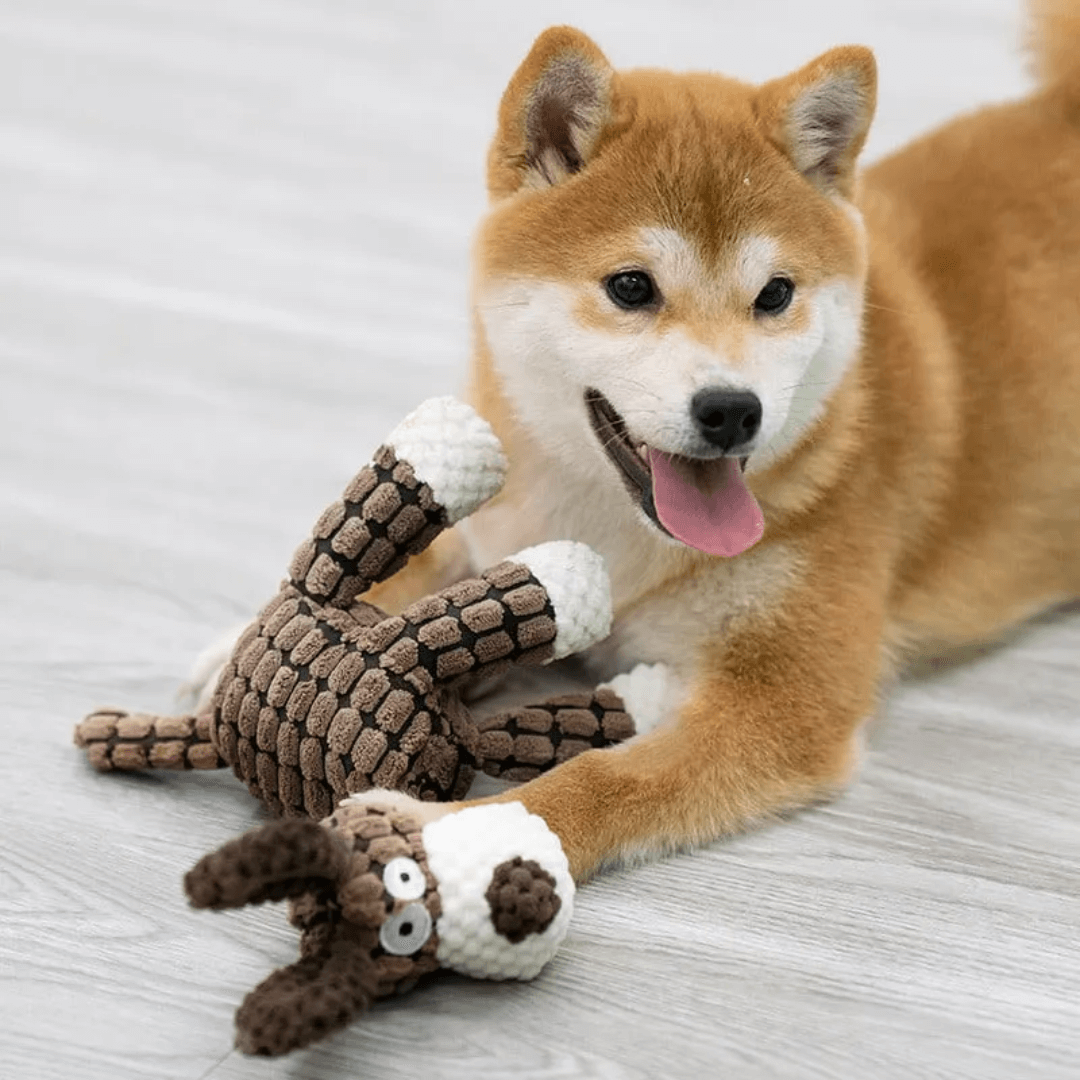 ChewClean | Kauwspeelgoed voor honden met tandverzorging en minder sloopgedrag