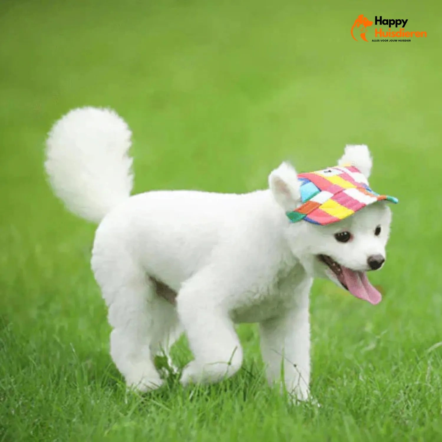 Chic Pet Capello | Stijlvolle Hoed voor Honden Bescherming