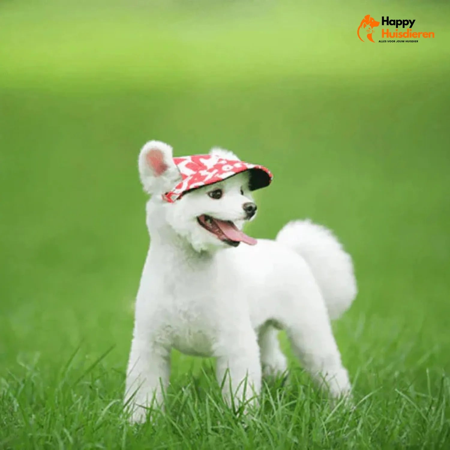 Chic Pet Capello | Stijlvolle Hoed voor Honden Bescherming