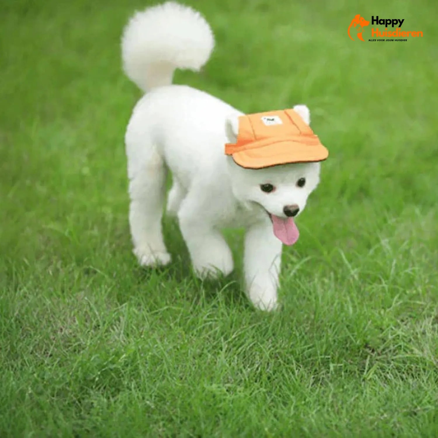 Chic Pet Capello | Stijlvolle Hoed voor Honden Bescherming