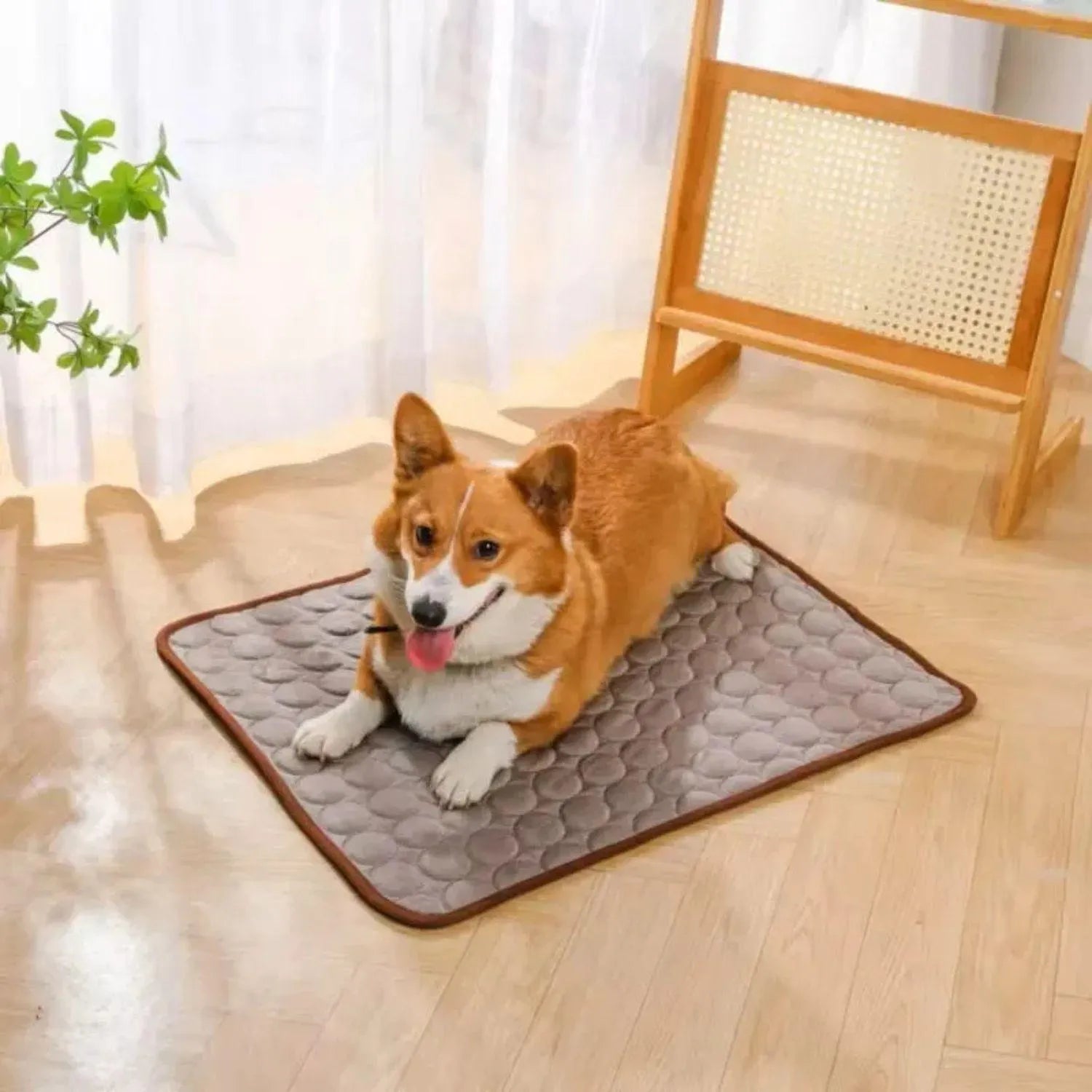 ChillEase Mat | Koelmat voor honden en katten met geltechnologie & duurzaam ontwerp