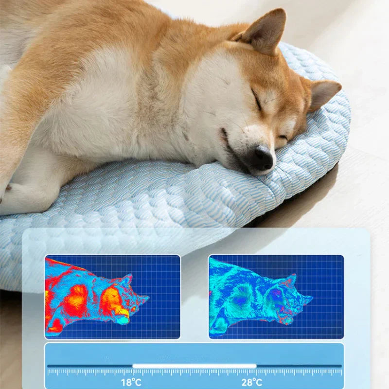 ChillNest | Honden koelmat voor warme dagen en stressverlichting