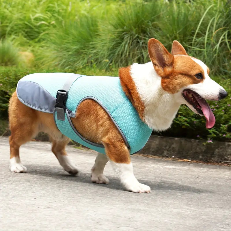 Chloe | Hondenkoelingsvest Voor Zomerplezier