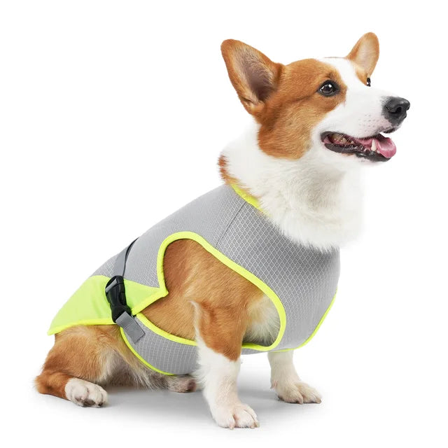 Chloe | Hondenkoelingsvest Voor Zomerplezier