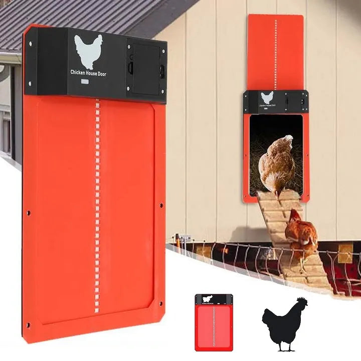 CluckSafe Pro | Automatisch Kippenluik met Timer en Lichtsensor
