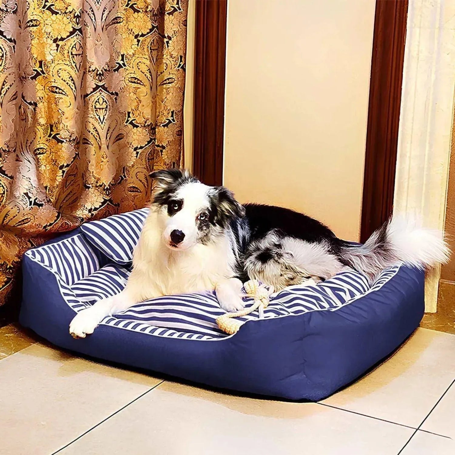 CoastEase Lounge | Stijlvol Canvas Ligbed voor Huisdieren