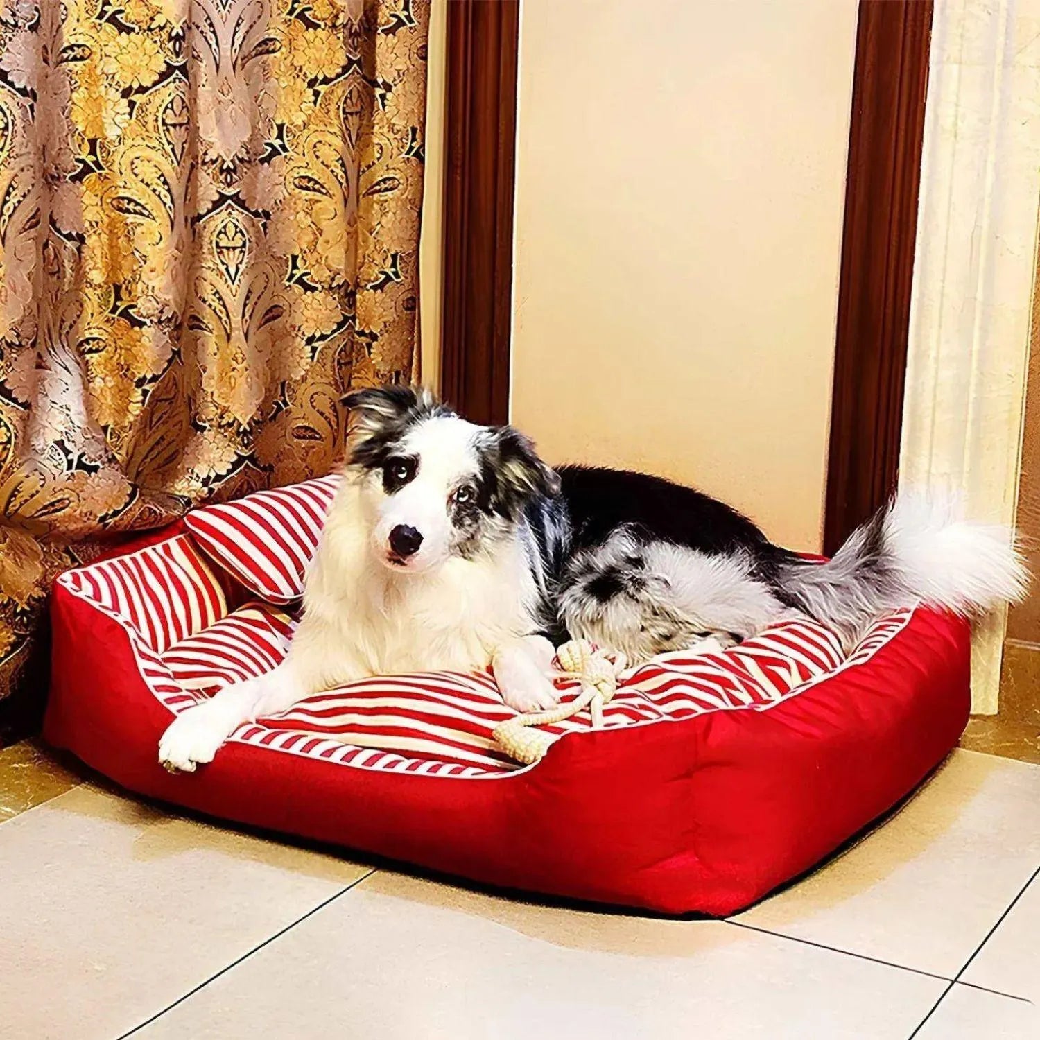 CoastEase Lounge | Stijlvol Canvas Ligbed voor Huisdieren