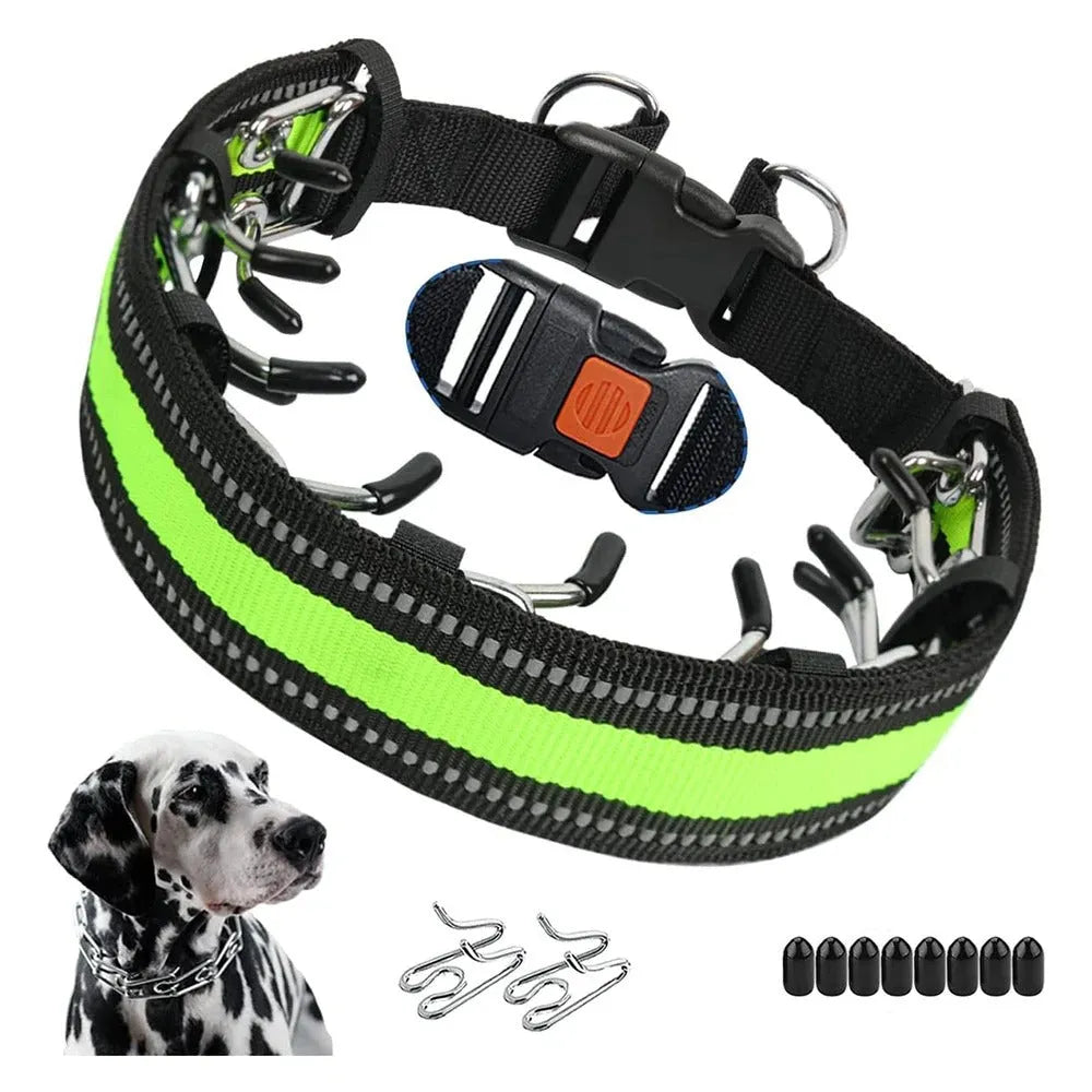 Cody | Halsband voor gehoorzaamheidstraining