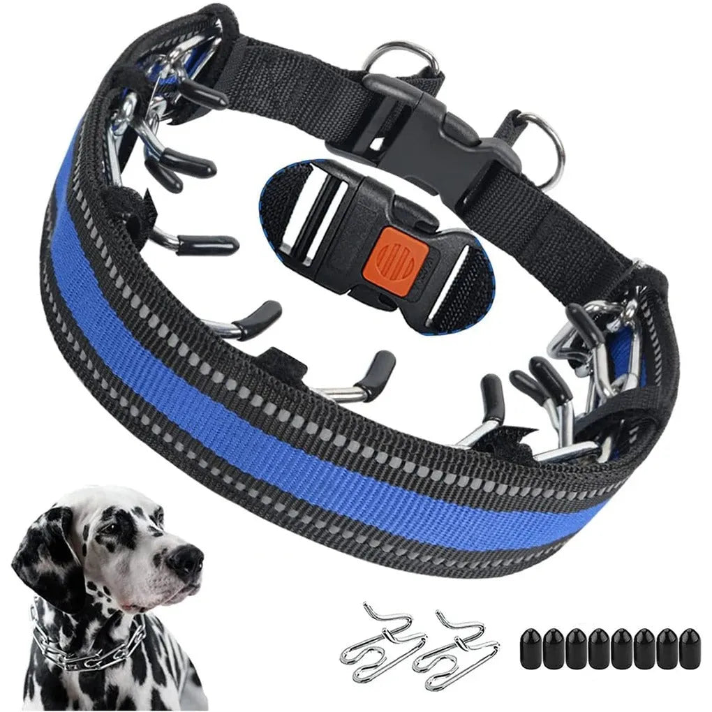 Cody | Halsband voor gehoorzaamheidstraining