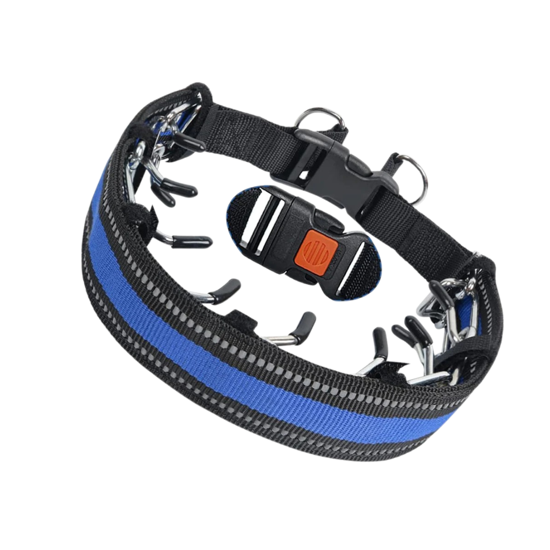 Cody | Halsband voor gehoorzaamheidstraining