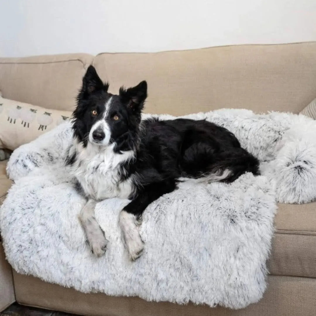 ComfortPaw Sofa | Gezellig Hondenbankje voor Huisdieren