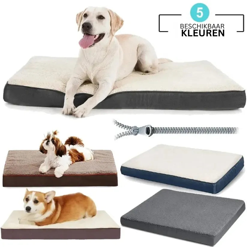 CozyNest Hondenbed | Flexibel Spons Huisdierkussen met Antislip en Traagschuim