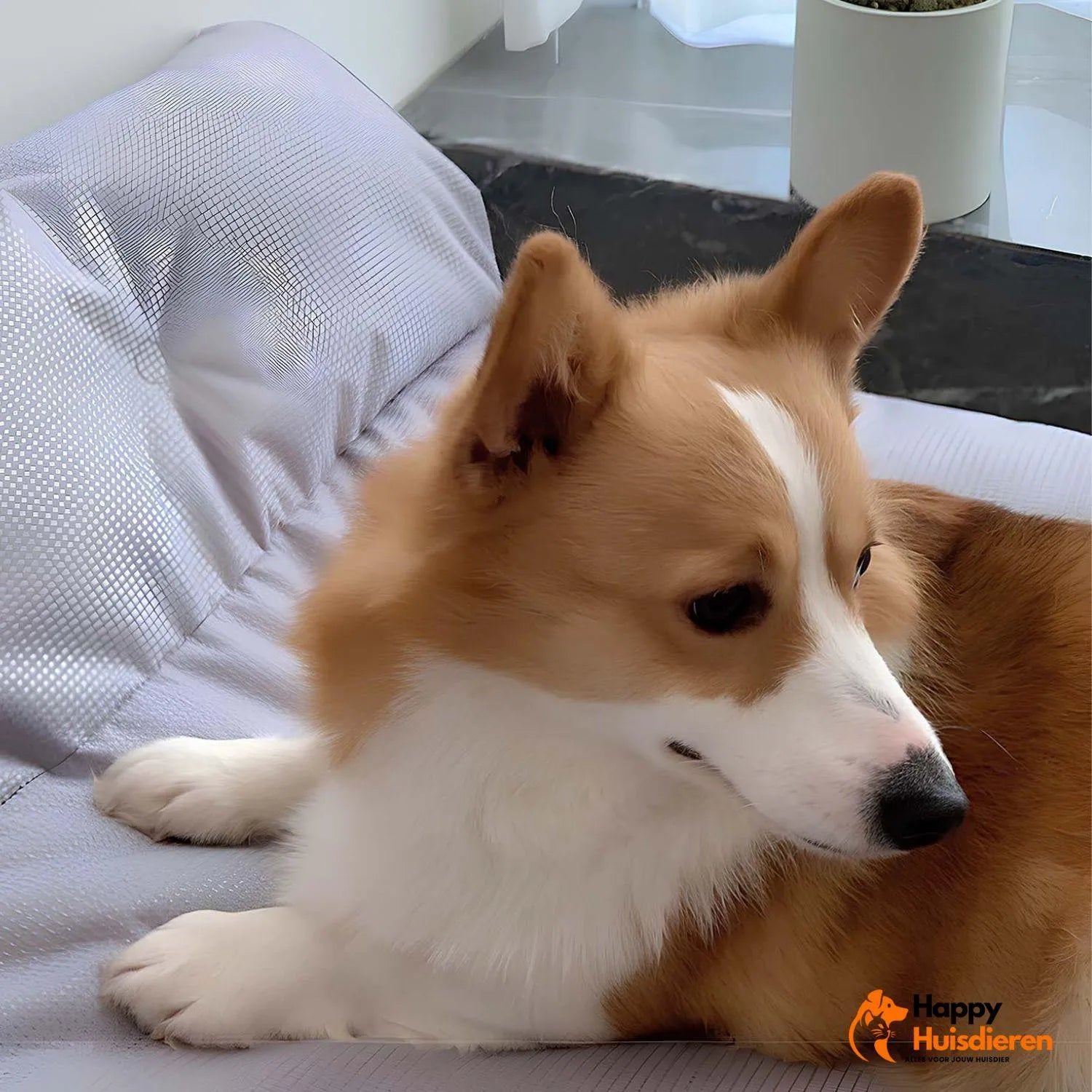 Deluxe Pet Den | Waterdicht en afneembaar groot hondenbed met hoge rugleuning