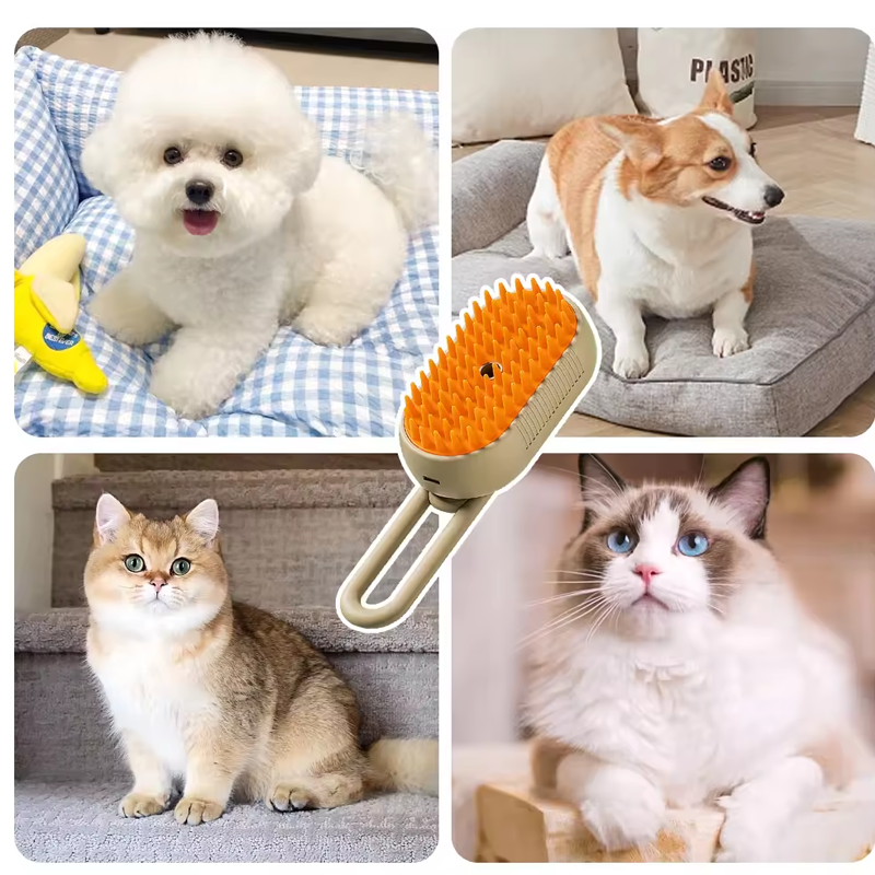 SteamGroom | Kattenborstel met stoomtechnologie voor een gezonde, haarvrije vacht