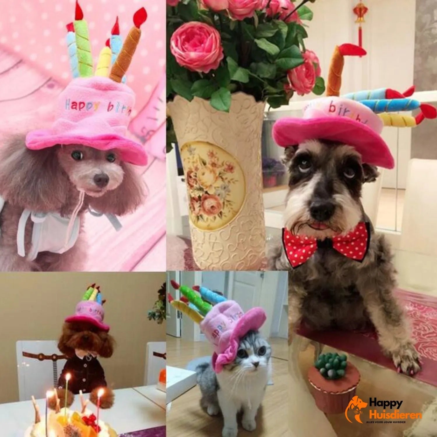 Dierenfeesthoedje | Leuk verjaardagsaccessoire